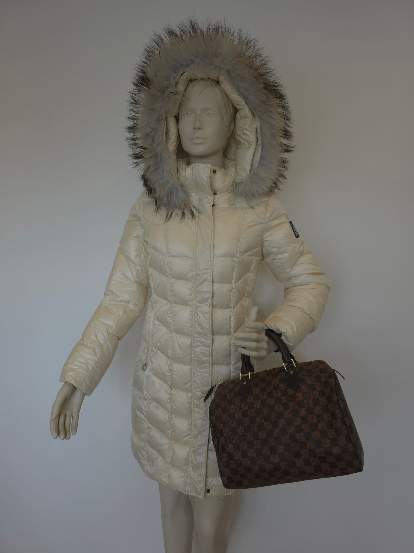 Louis Vuitton Speedy 30 Damier